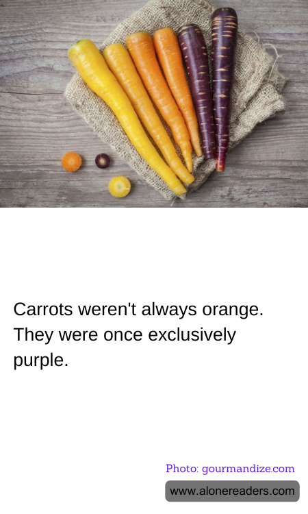 Carrots weren't always orange. They were once exclusively purple.