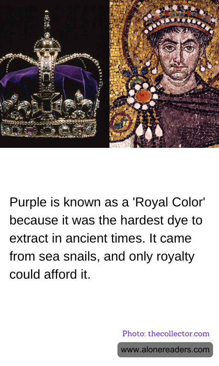 Purple is known as a 'Royal Color' because it was the hardest dye to extract in ancient times. It came from sea snails, and only royalty could afford it.