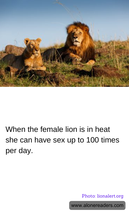 General Knowledge Learning Cards