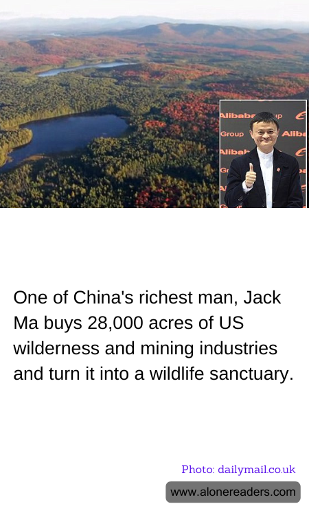 General Knowledge Learning Cards