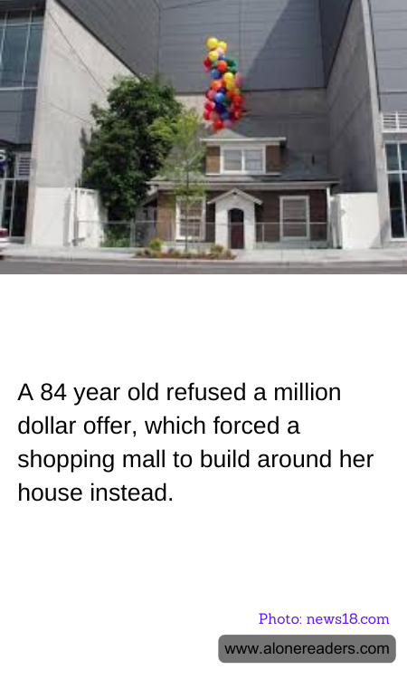 General Knowledge Learning Cards