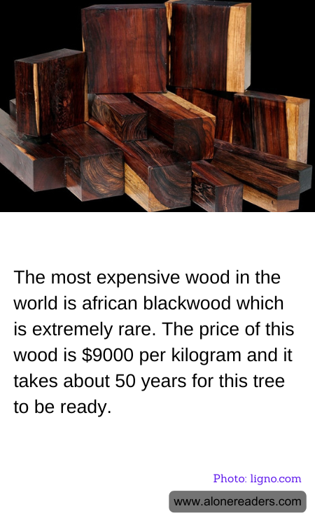 General Knowledge Learning Cards