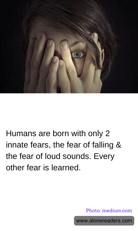 Humans are born with only 2 innate fears, the fear of falling & the fear of loud sounds. Every other fear is learned.