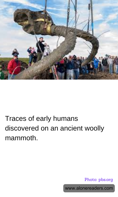 Traces of early humans discovered on an ancient woolly mammoth.