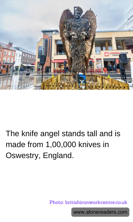 General Knowledge Learning Cards