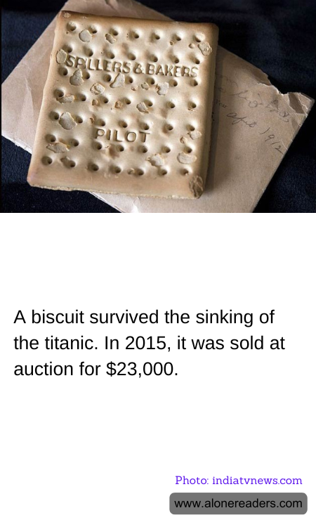 General Knowledge Learning Cards