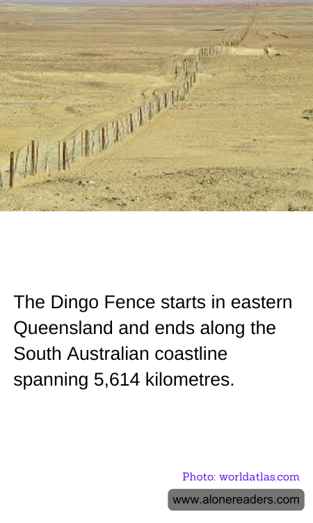 The Dingo Fence starts in eastern Queensland and ends along the South Australian coastline spanning 5,614 kilometres.