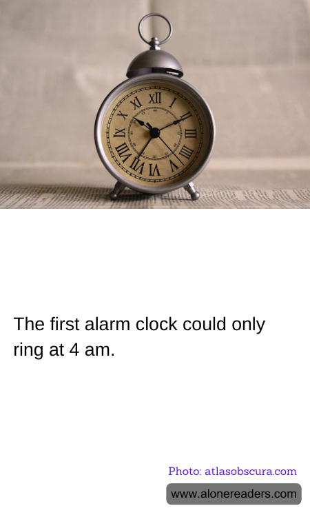 General Knowledge Learning Cards