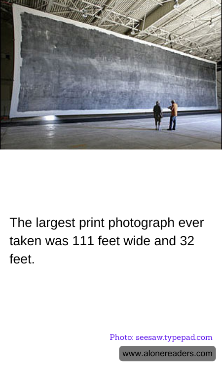 The largest print photograph ever taken was 111 feet wide and 32 feet.