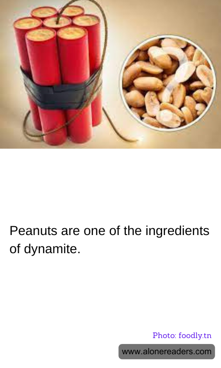 General Knowledge Learning Cards