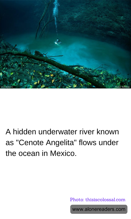 A hidden underwater river known as "Cenote Angelita" flows under the ocean in Mexico.