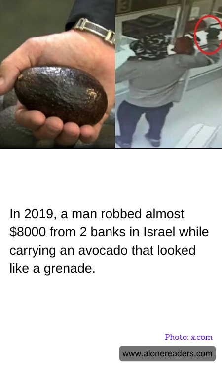 General Knowledge Learning Cards