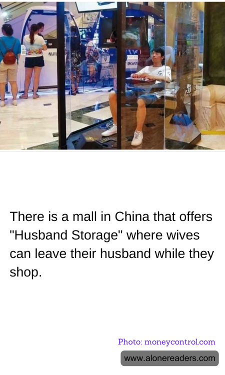 General Knowledge Learning Cards