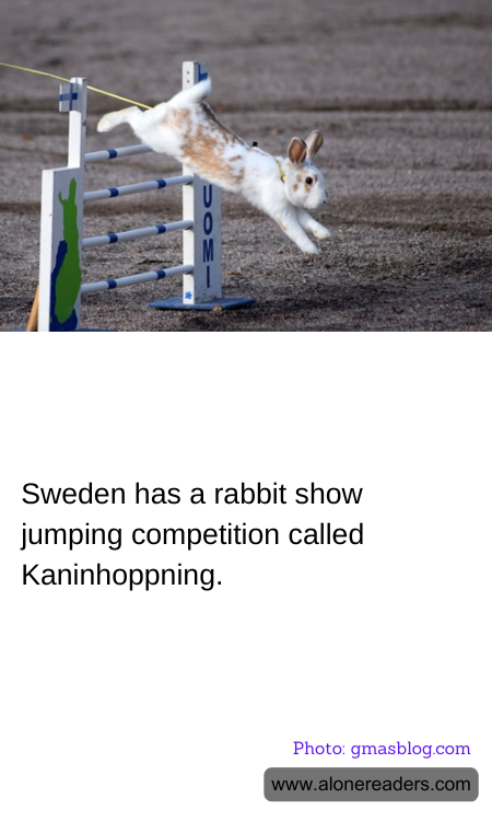 General Knowledge Learning Cards