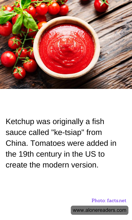 General Knowledge Learning Cards