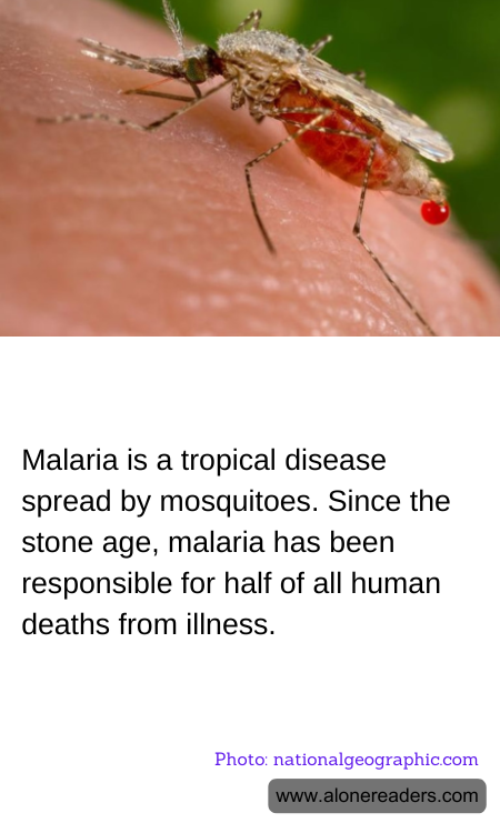 General Knowledge Learning Cards