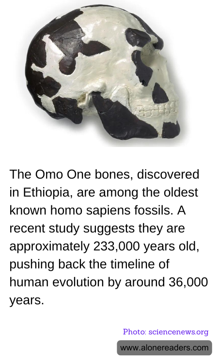 General Knowledge Learning Cards