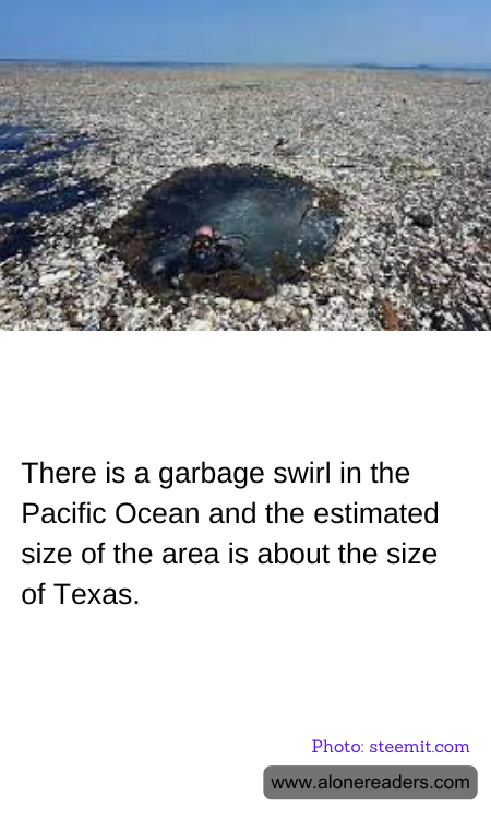 General Knowledge Learning Cards