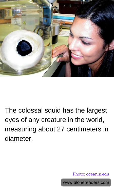 The colossal squid has the largest eyes of any creature in the world, measuring about 27 centimeters in diameter.