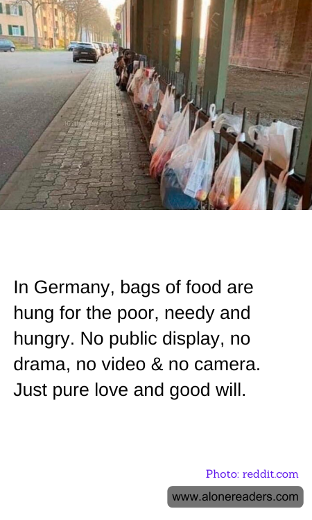 General Knowledge Learning Cards