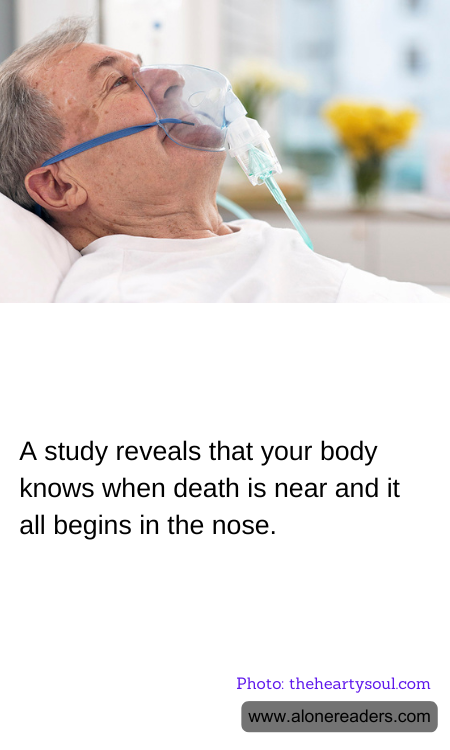 A study reveals that your body knows when death is near and it all begins in the nose.