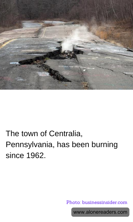 General Knowledge Learning Cards