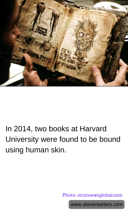 In 2014, two books at Harvard University were found to be bound using human skin.