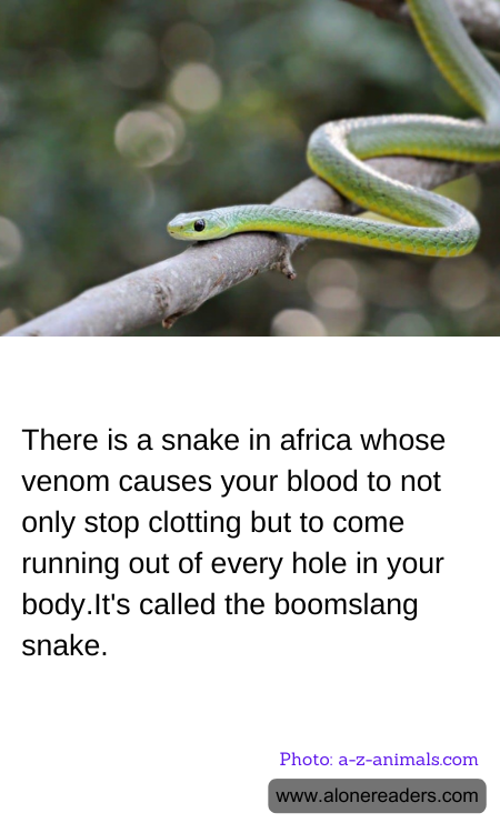 General Knowledge Learning Cards