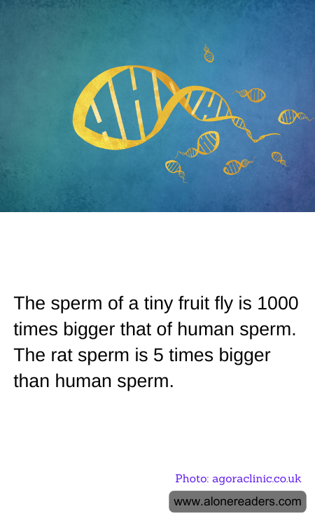 General Knowledge Learning Cards