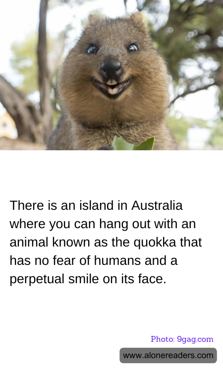 General Knowledge Learning Cards