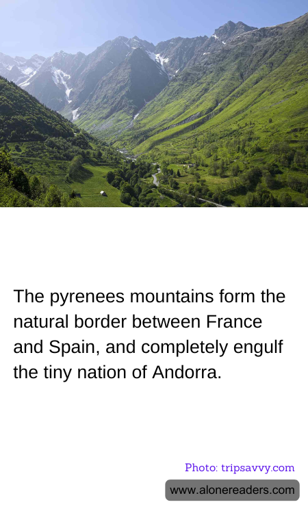 General Knowledge Learning Cards