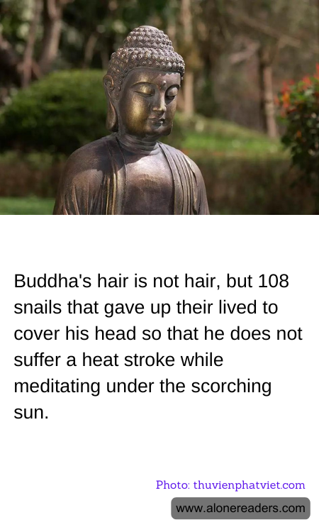 General Knowledge Learning Cards