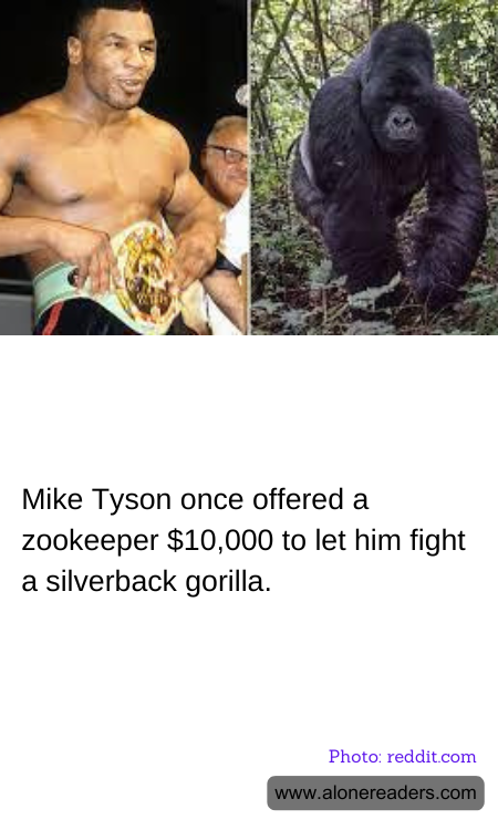 Mike Tyson once offered a zookeeper $10,000 to let him fight a silverback gorilla.