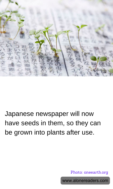 Japanese newspaper will now have seeds in them, so they can be grown into plants after use.