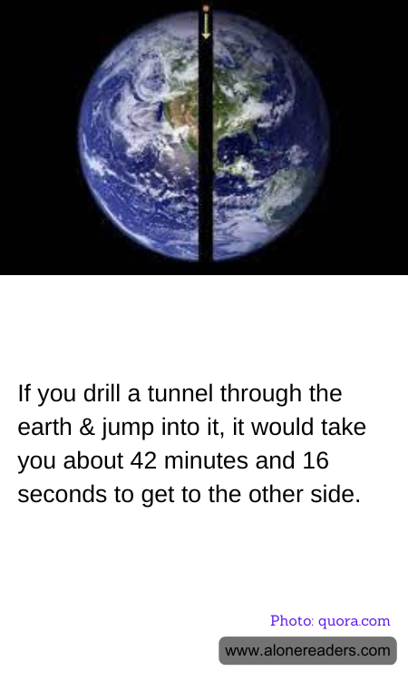 General Knowledge Learning Cards