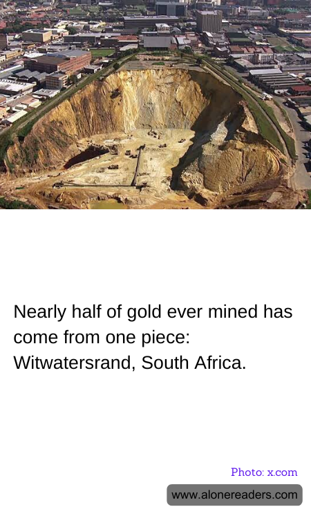 General Knowledge Learning Cards