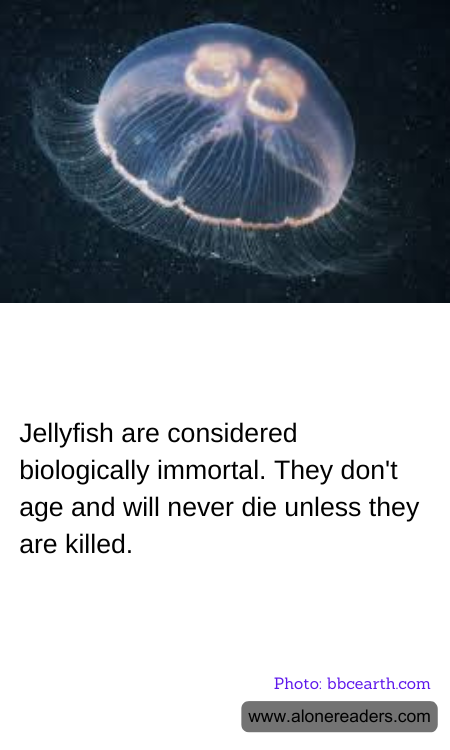 General Knowledge Learning Cards