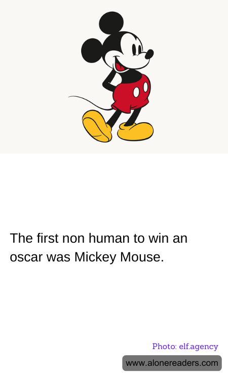 General Knowledge Learning Cards