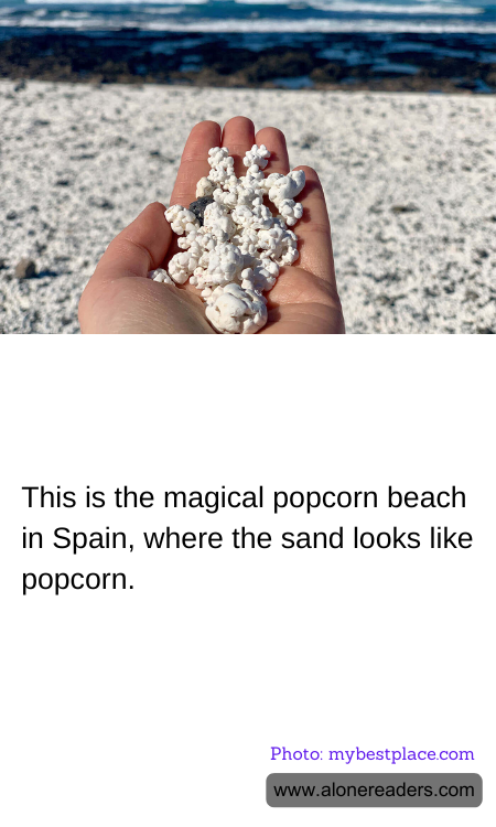 General Knowledge Learning Cards