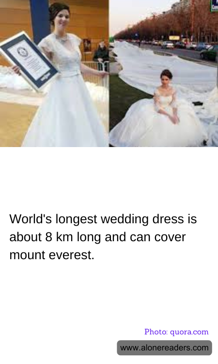 General Knowledge Learning Cards