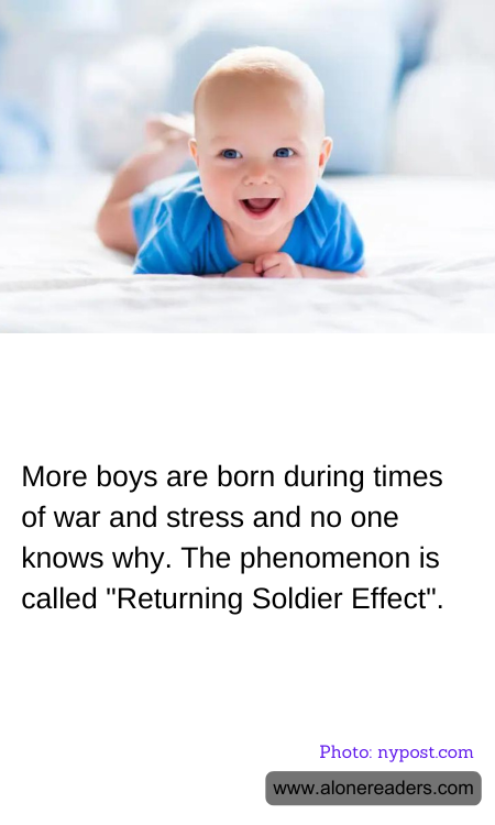 General Knowledge Learning Cards