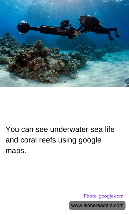 You can see underwater sea life and coral reefs using google maps.