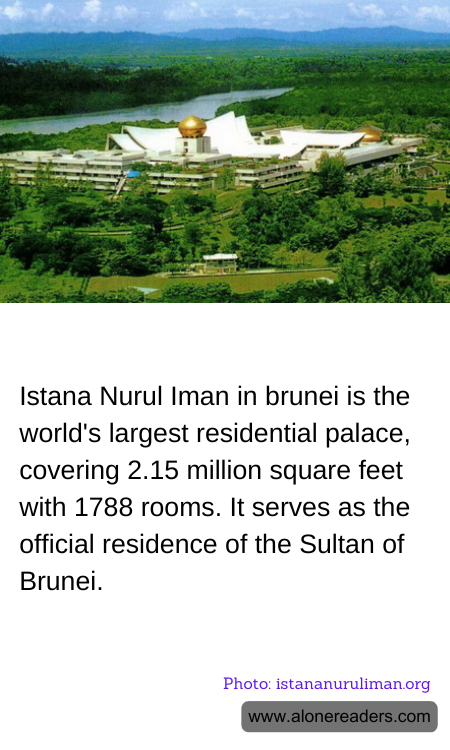 General Knowledge Learning Cards