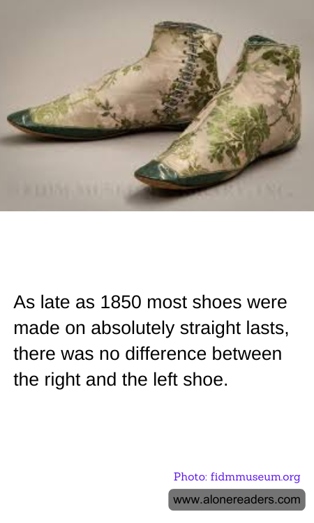 General Knowledge Learning Cards