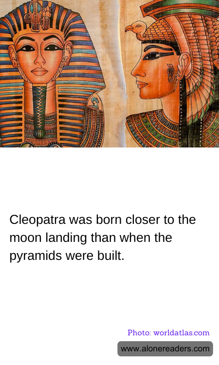 General Knowledge Learning Cards