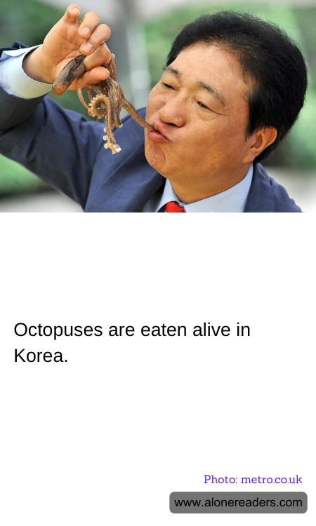 General Knowledge Learning Cards