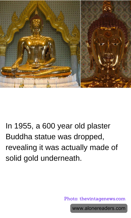 General Knowledge Learning Cards