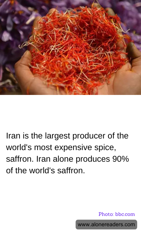 General Knowledge Learning Cards