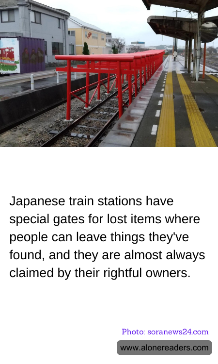 General Knowledge Learning Cards