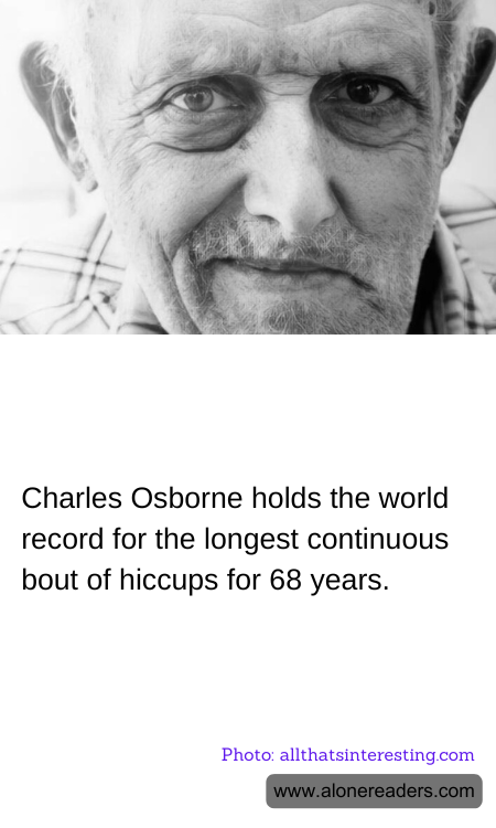 General Knowledge Learning Cards